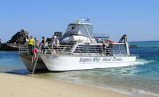 Dolphin Wild - Accommodation Mermaid Beach 2