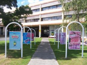 Cadbury Chocolate Factory Tour - Accommodation Mermaid Beach 2
