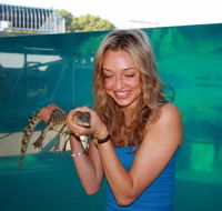 Crocosaurus Cove - Accommodation Mermaid Beach