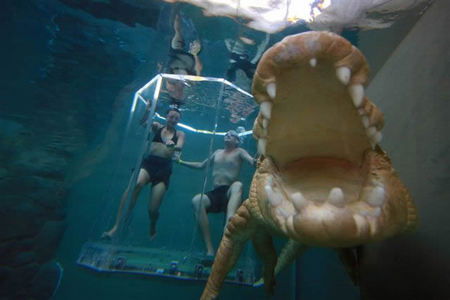 Crocosaurus Cove - Accommodation Mermaid Beach 3