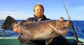 Bravo Fishing Charters - Accommodation Mermaid Beach 0