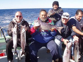 Bravo Fishing Charters - Accommodation Mermaid Beach 1