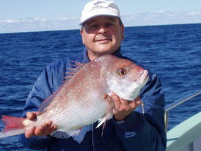 Bravo Fishing Charters - Accommodation Mermaid Beach 3