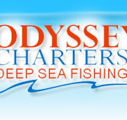 Odyssey Charters - Accommodation Mermaid Beach