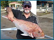 Odyssey Charters - Accommodation Mermaid Beach 1