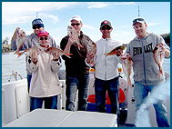 Odyssey Charters - Accommodation Mermaid Beach 2