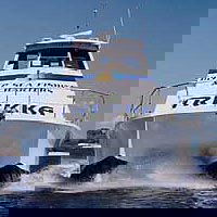 Sunshine Coast Fishing Charters - Accommodation Mermaid Beach 0