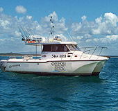 Sunshine Coast Fishing Charters - Accommodation Mermaid Beach 1