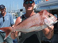 Sunshine Coast Fishing Charters - Accommodation Mermaid Beach 2