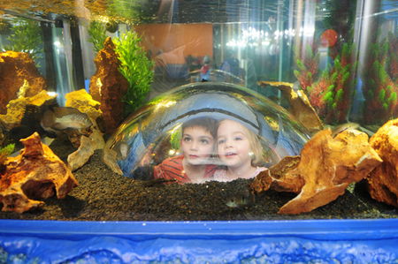 Scitech - Accommodation Mermaid Beach 3
