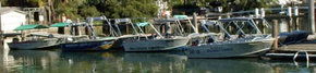 Brooklyn Central Boat Hire & General Store - Accommodation Mermaid Beach 1