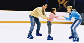 Penrith Ice Palace - Accommodation Mermaid Beach 2
