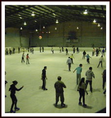 Bendigo Ice Stadium - Accommodation Mermaid Beach 1