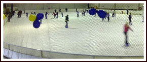 Bendigo Ice Stadium - Accommodation Mermaid Beach 2