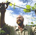 Barossa Experience Tours - Accommodation Mermaid Beach