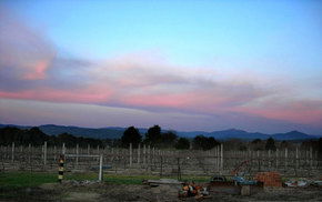 Buller View Wines - Accommodation Mermaid Beach 1