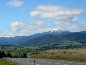 Buller View Wines - Accommodation Mermaid Beach 2