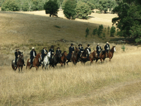 McCormacks Mountain Valley Trail Rides - Accommodation Mermaid Beach 0