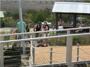 High Country - Accommodation Mermaid Beach 0
