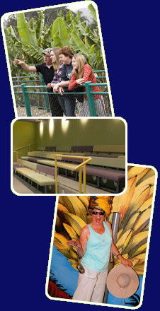 Big Banana - Accommodation Mermaid Beach 2