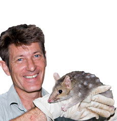 Geckoes Wildlife Presentations - Accommodation Mermaid Beach 0