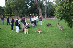 Caversham Wildlife Park - Accommodation Mermaid Beach 2