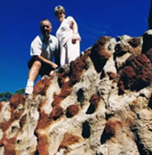 Mystery Craters - Accommodation Mermaid Beach 2