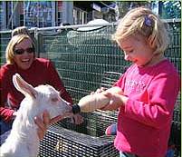 The Sun Herald Sydney Family Show - Accommodation Mermaid Beach 2