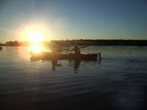 Kayak Noosa - Accommodation Mermaid Beach 1