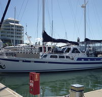 Coral Sea Dreaming Dive and Sail - Accommodation Mermaid Beach