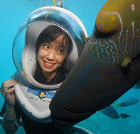 Sunlover Reef Cruises - Accommodation Mermaid Beach