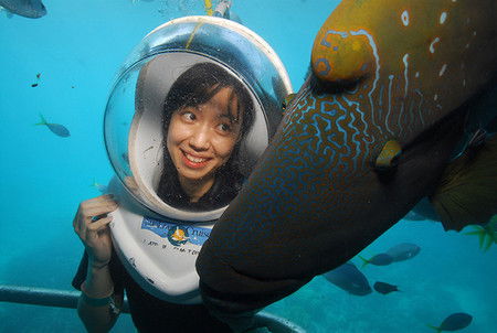 Sunlover Reef Cruises - Accommodation Mermaid Beach 0