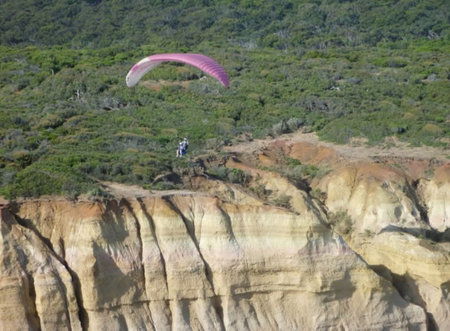 Airsports Adventure Flights - Accommodation Mermaid Beach 2