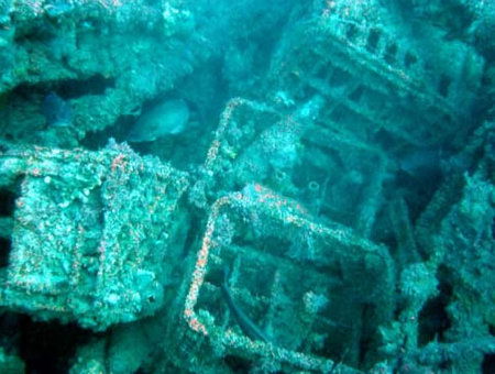 Underwater Sports Diving Centre - Accommodation Mermaid Beach 0