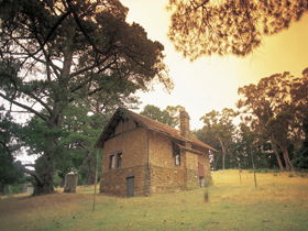Heysen - The Cedars - Accommodation Mermaid Beach 0
