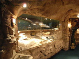 The National Opal Collection - Accommodation Mermaid Beach 2