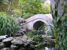 Chinese Garden Of Friendship - Accommodation Mermaid Beach 1