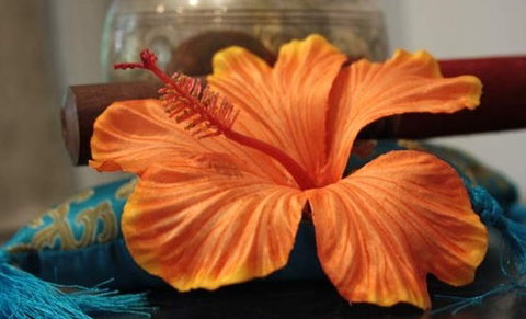 Annasha Day Spa Retreat - Accommodation Mermaid Beach 5