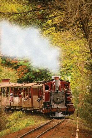 Puffing Billy - Accommodation Mermaid Beach 5