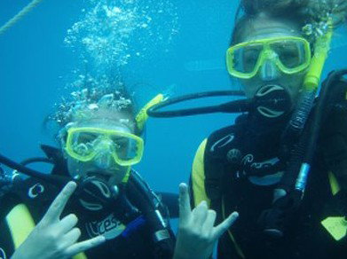 Snorkel Safari Brisbane - Accommodation Mermaid Beach 5