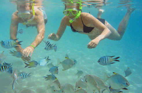 Australian Kayaking Adventures - Accommodation Mermaid Beach 2