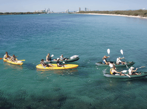 Australian Kayaking Adventures - Accommodation Mermaid Beach 4