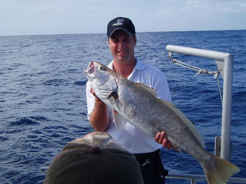 Blue Juice Charters - Accommodation Mermaid Beach 1