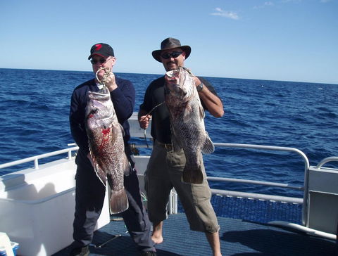Blue Juice Charters - Accommodation Mermaid Beach 2