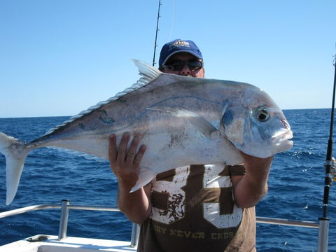 Blue Juice Charters - Accommodation Mermaid Beach 4