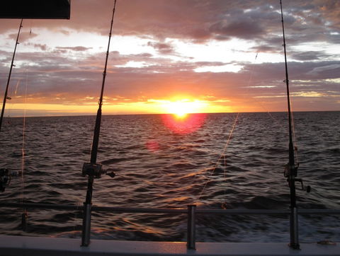 Blue Juice Charters - Accommodation Mermaid Beach 5