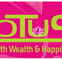 Lotus Massage - Accommodation Mermaid Beach