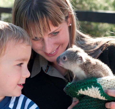 Australian Reptile Park - Accommodation Mermaid Beach 1