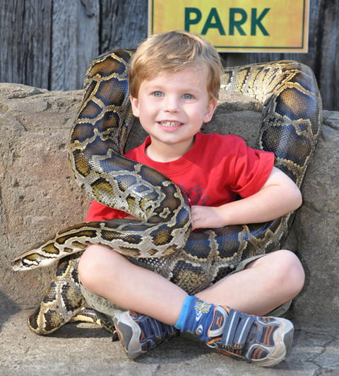 Australian Reptile Park - Accommodation Mermaid Beach 3