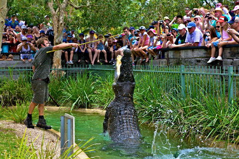 Australian Reptile Park - Accommodation Mermaid Beach 4